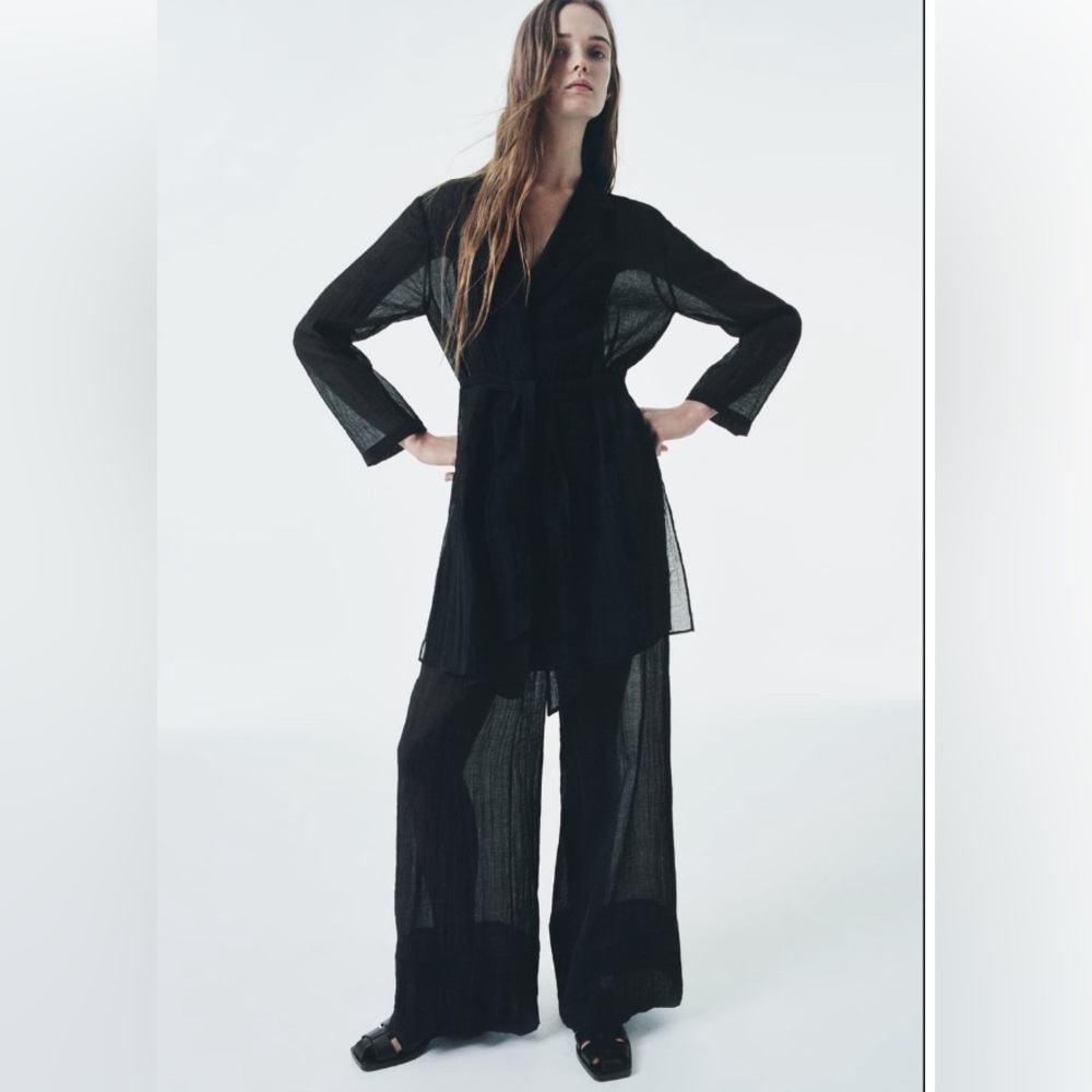 Zara Black Semi-sheer Minimalist Wide Leg Palazzo Pants Elastic waist XS NWT - Picture 5 of 15